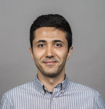 Hassan Shapourian